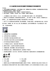 2026届内蒙古自治区阿拉善盟中考物理最后冲刺浓缩精华卷（含答案解析）