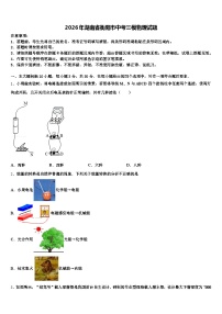 2026年湖南省衡阳市中考三模物理试题（含答案解析）