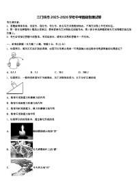 三门峡市2025-2026学年中考猜题物理试卷（含答案解析）