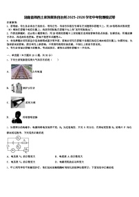 湖南省湘西土家族苗族自治州2025-2026学年中考物理模试卷（含答案解析）