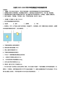 大同市2025-2026学年中考物理最后冲刺浓缩精华卷（含答案解析）