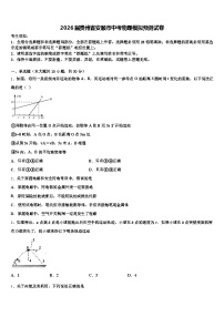 2026届贵州省安顺市中考物理模拟预测试卷（含答案解析）