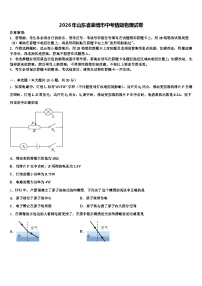 2026年山东省淄博市中考猜题物理试卷（含答案解析）