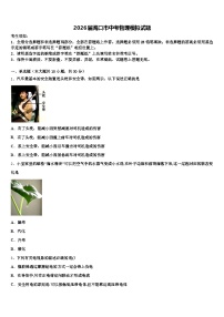 2026届海口市中考物理模拟试题（含答案解析）