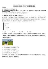 娄底市2025-2026学年中考三模物理试题（含答案解析）