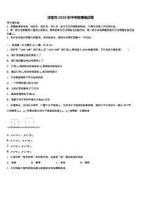 洛阳市2026年中考物理模试卷（含答案解析）