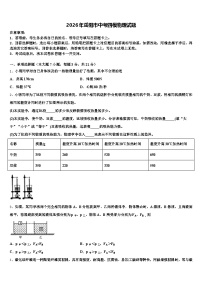 2026年岳阳市中考四模物理试题（含答案解析）