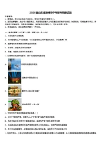 2026届山东省德州市中考联考物理试题（含答案解析）