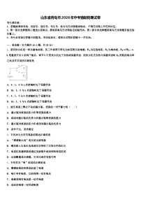 山东省青岛市2026年中考猜题物理试卷（含答案解析）