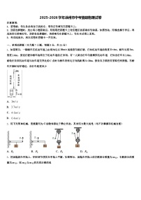 2025-2026学年徐州市中考猜题物理试卷（含答案解析）
