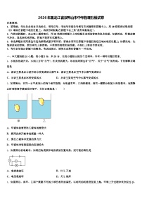 2026年黑龙江省双鸭山市中考物理五模试卷（含答案解析）