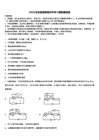 2026年安徽省阜阳市中考三模物理试题（含答案解析）