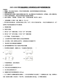 2025-2026学年湖南省湘西土家族苗族自治州中考四模物理试题（含答案解析）