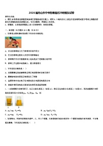 2026届舟山市中考物理最后冲刺模拟试卷（含答案解析）