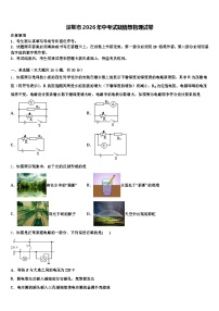 深圳市2026年中考试题猜想物理试卷（含答案解析）