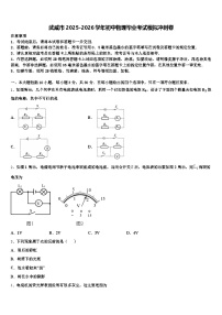 武威市2025-2026学年初中物理毕业考试模拟冲刺卷（含答案解析）