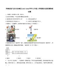 河南省驻马店市汝南县2025-2026学年九年级上学期期末素质测物理试题-自定义类型
