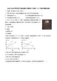 2025-2026学年四川省成都市邛崃市八年级（上）期末物理试卷-自定义类型
