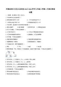 河南省周口市沈丘县两校2025-2026学年九年级上学期1月期末物理试题-自定义类型