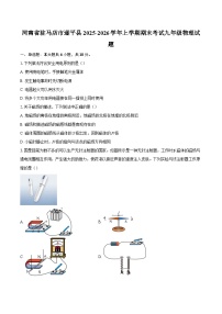 河南省驻马店市遂平县2025-2026学年上学期期末考试九年级物理试题-自定义类型
