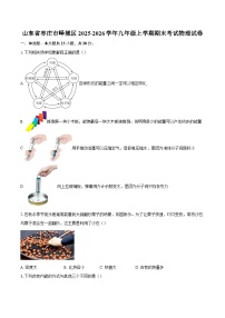 山东省枣庄市峄城区2025-2026学年九年级上学期期末考试物理试卷-自定义类型