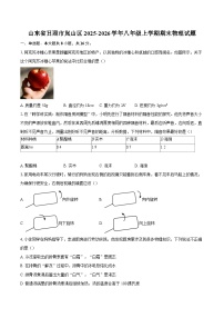 山东省日照市岚山区2025-2026学年八年级上学期期末物理试题-自定义类型