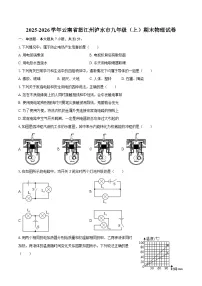 2025-2026学年云南省怒江州泸水市九年级（上）期末物理试卷-自定义类型