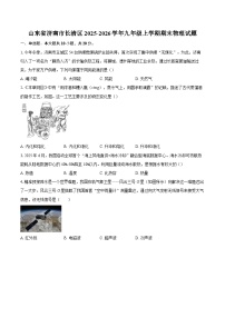 山东省济南市长清区2025-2026学年九年级上学期期末物理试题-自定义类型