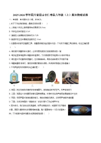 2025-2026学年四川省眉山市仁寿县八年级（上）期末物理试卷-自定义类型