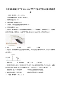 江西省景德镇市乐平市2025-2026学年八年级上学期1月期末物理试题-自定义类型