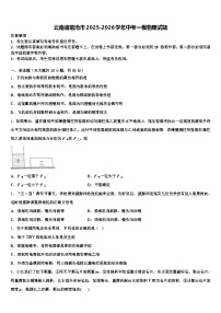 云南省临沧市2025-2026学年中考一模物理试题（含答案解析）
