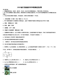 2026届江苏省南京市中考物理仿真试卷（含答案解析）