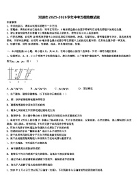 河源市2025-2026学年中考五模物理试题（含答案解析）