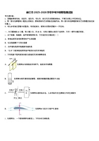 丽江市2025-2026学年中考冲刺卷物理试题（含答案解析）