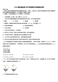 2026届河南省周口市中考物理对点突破模拟试卷（含答案解析）