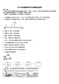 2026年河南省漯河市中考物理仿真试卷（含答案解析）