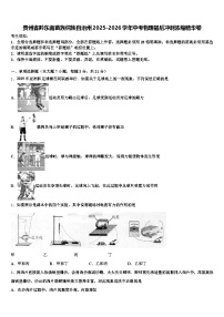 贵州省黔东南苗族侗族自治州2025-2026学年中考物理最后冲刺浓缩精华卷（含答案解析）