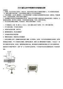 2026届乐山市中考物理对点突破模拟试卷（含答案解析）