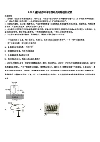 2026届乐山市中考物理对点突破模拟试卷（含答案解析）