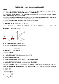 安徽省滁州市2026年中考物理考试模拟冲刺卷（含答案解析）
