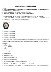 四川省乐山市2026年中考物理四模试卷（含答案解析）