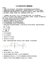 2026年铜川市中考三模物理试题（含答案解析）
