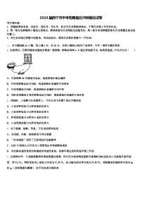 2026届西宁市中考物理最后冲刺模拟试卷（含答案解析）
