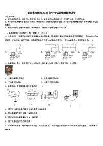 安徽省合肥市2026年中考试题猜想物理试卷（含答案解析）