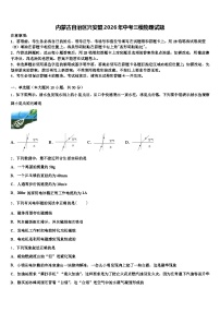 内蒙古自治区兴安盟2026年中考三模物理试题（含答案解析）