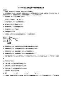 2026年河北省邢台市中考联考物理试题（含答案解析）