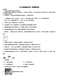 2026届湖南省中考一模物理试题（含答案解析）