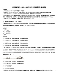 吉林省辽源市2025-2026学年中考物理适应性模拟试题（含答案解析）