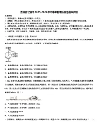 吉林省辽源市2025-2026学年中考物理适应性模拟试题（含答案解析）