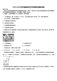 2025-2026学年河南省漯河市中考物理全真模拟试题（含答案解析）